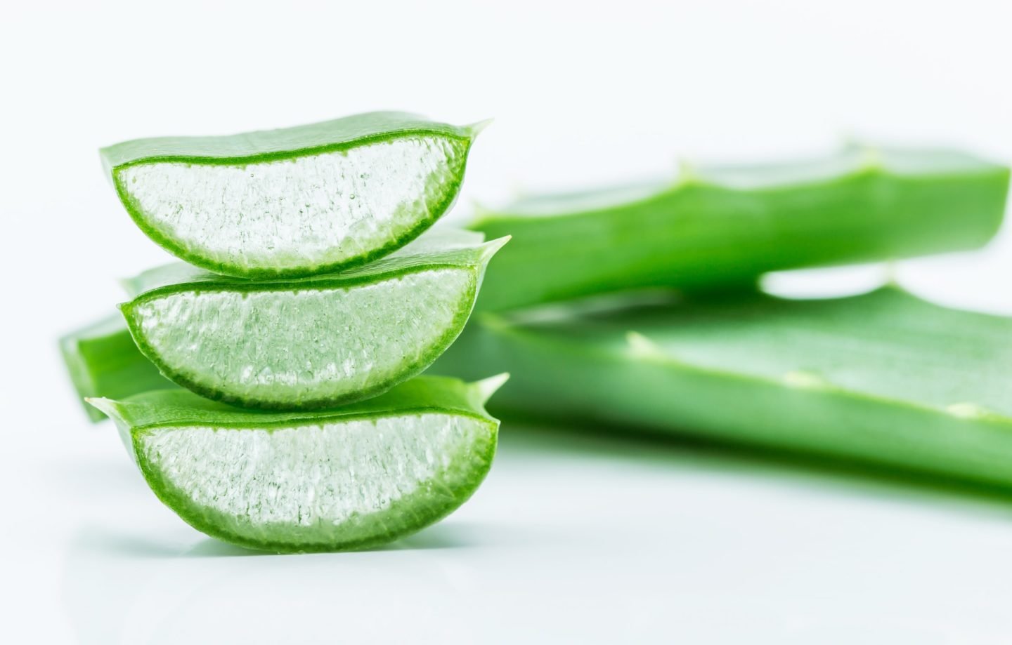 Closeup Aloe Vera Leaf