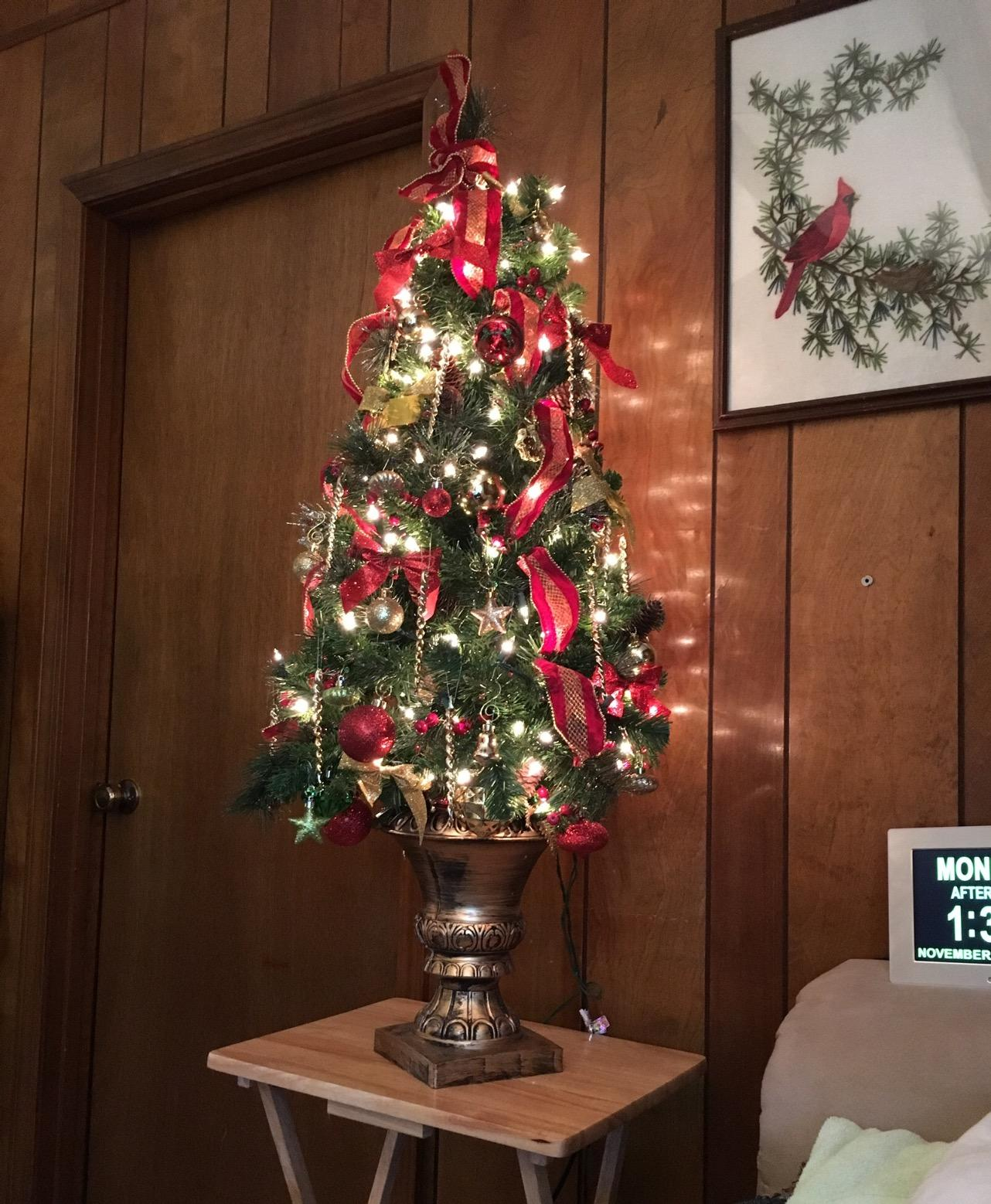 christmas tree