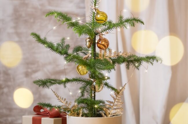 Best Christmas Trees on Amazon