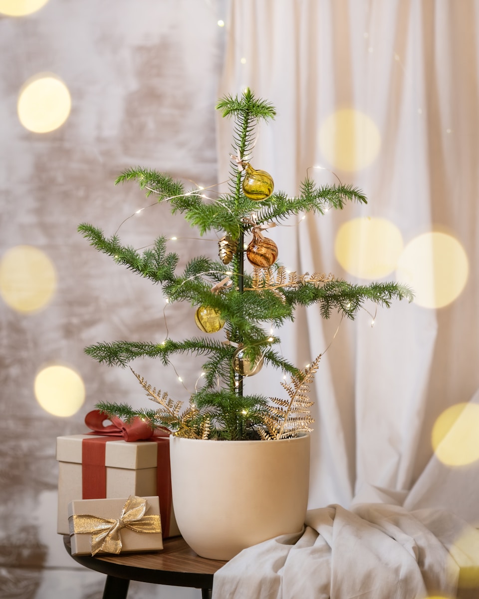 Best Christmas Trees on Amazon