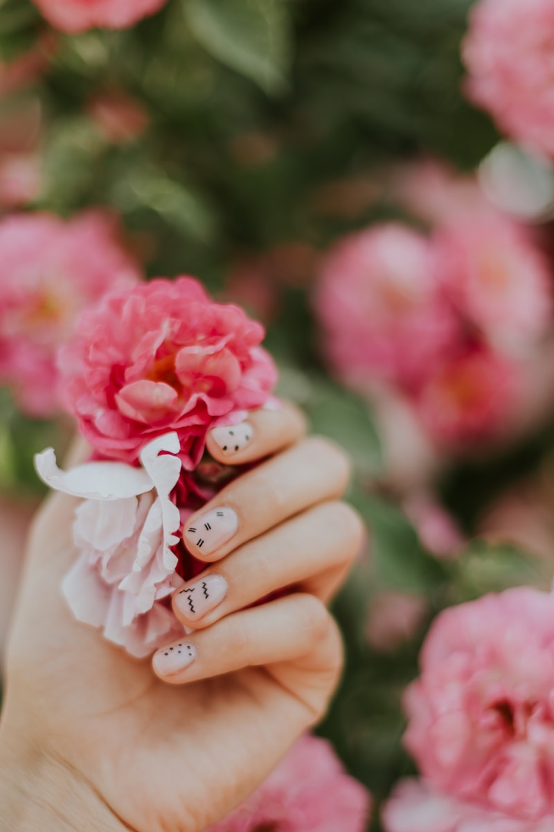 focus photography of pink flower