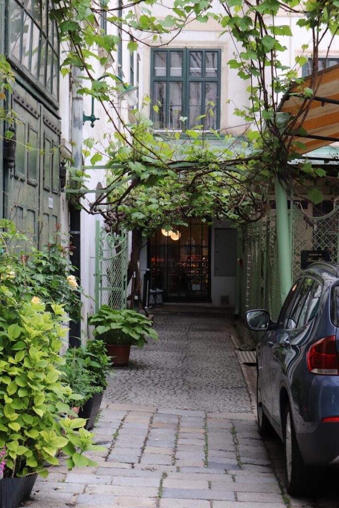 black car parked beside green plants