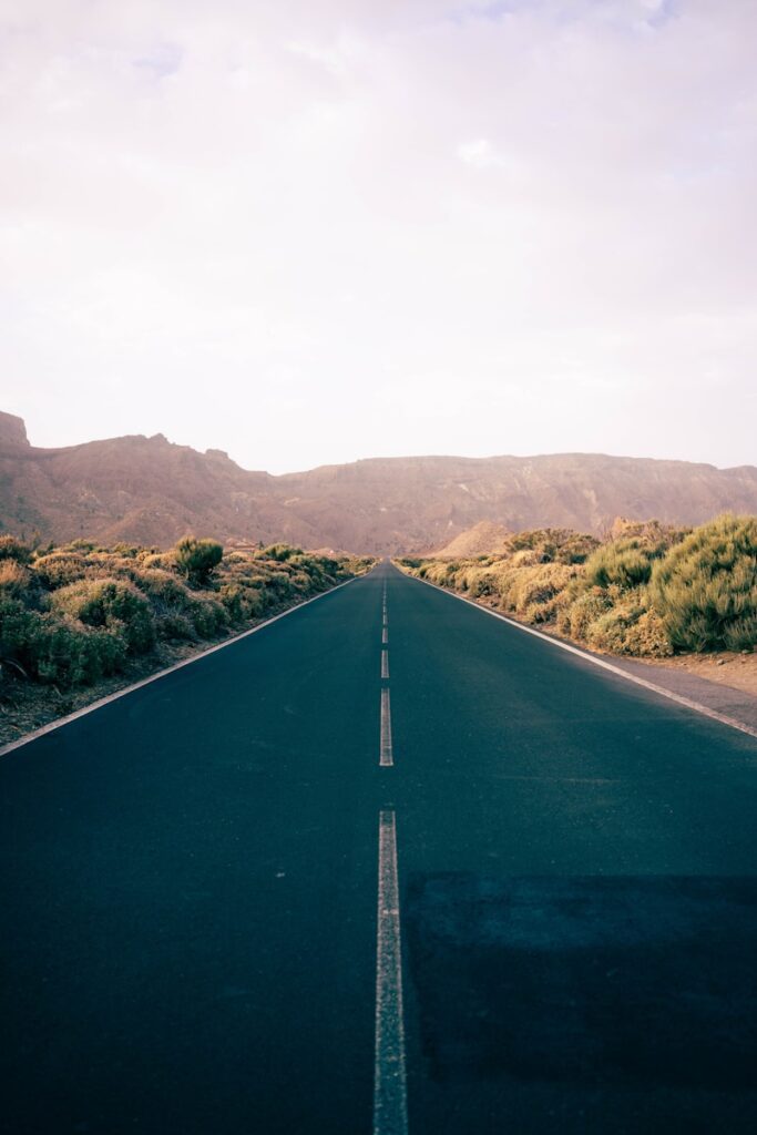 Road stretches toward the distant mountains.