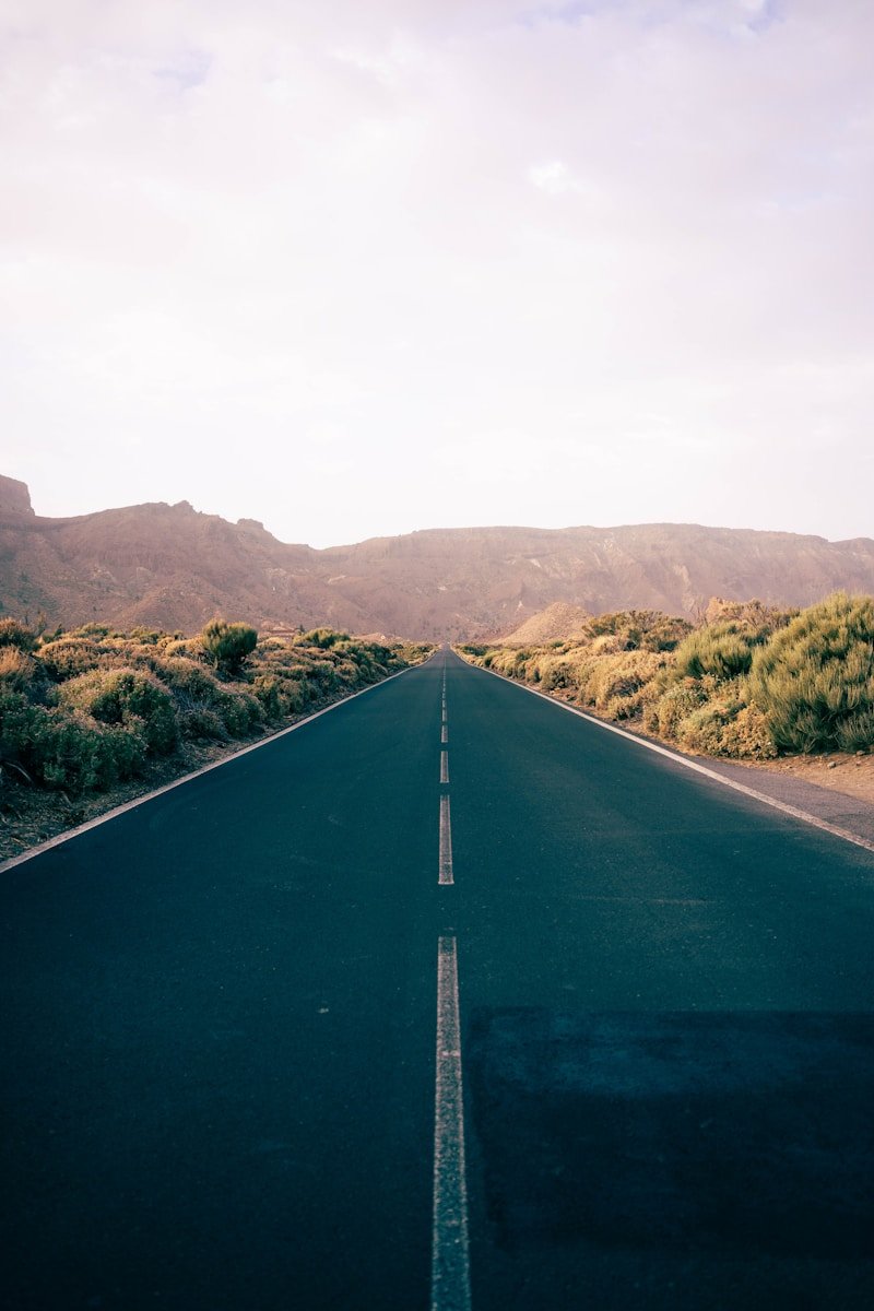 Road stretches toward the distant mountains.