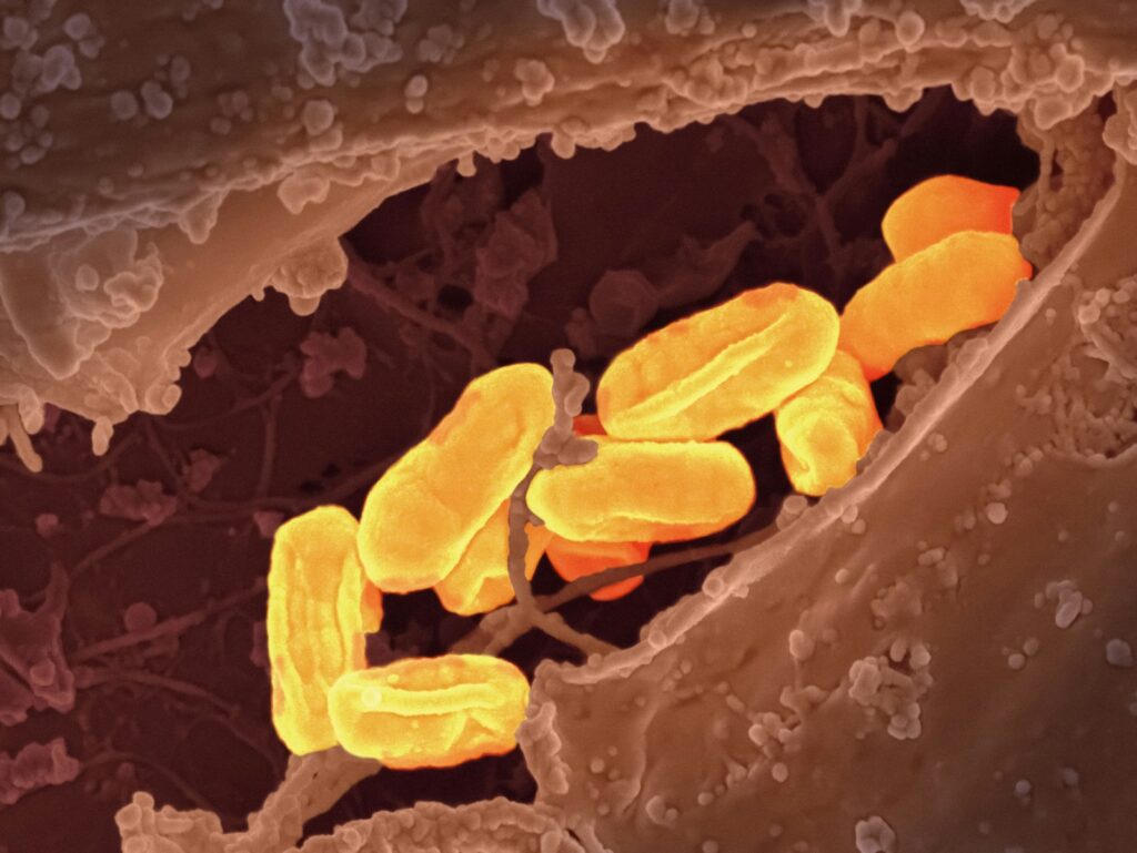 a close up of a cell phone with a yellow substance on it